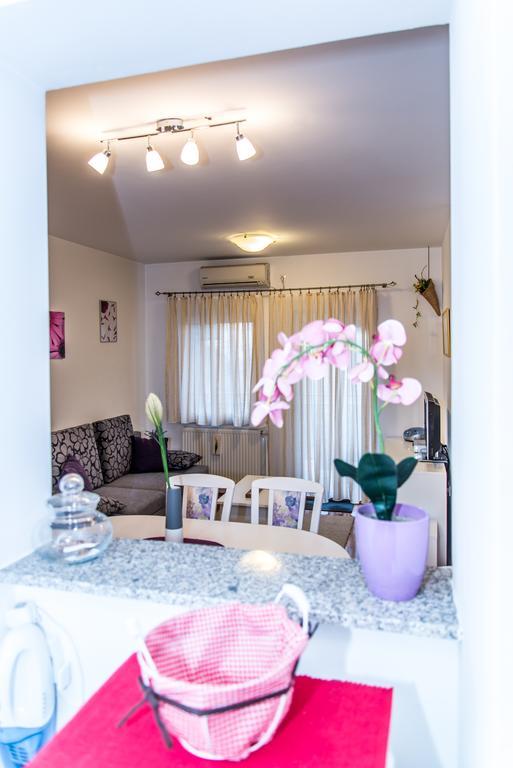 Apartment Flores 오시예크 외부 사진